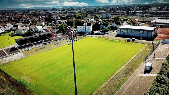 但他并未止 但他并未止