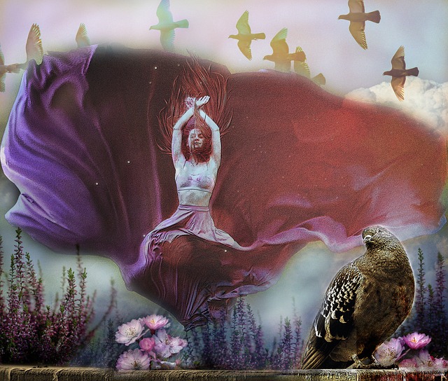 纷呈的比赛 纷呈的比赛