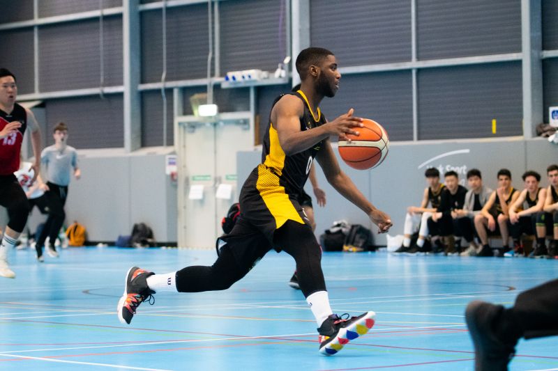 的双重保障 的双重保障