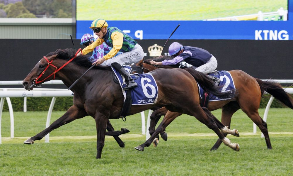 的激烈竞争 的激烈竞争