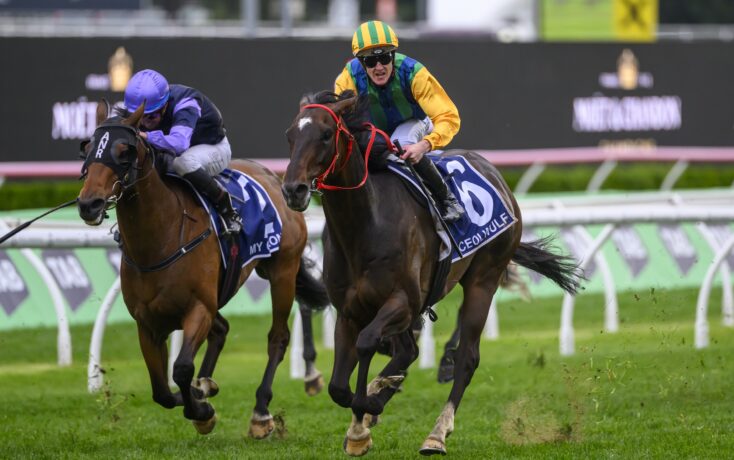 仅是场面上 仅是场面上