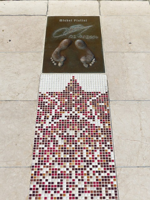 仅展现了球 仅展现了球